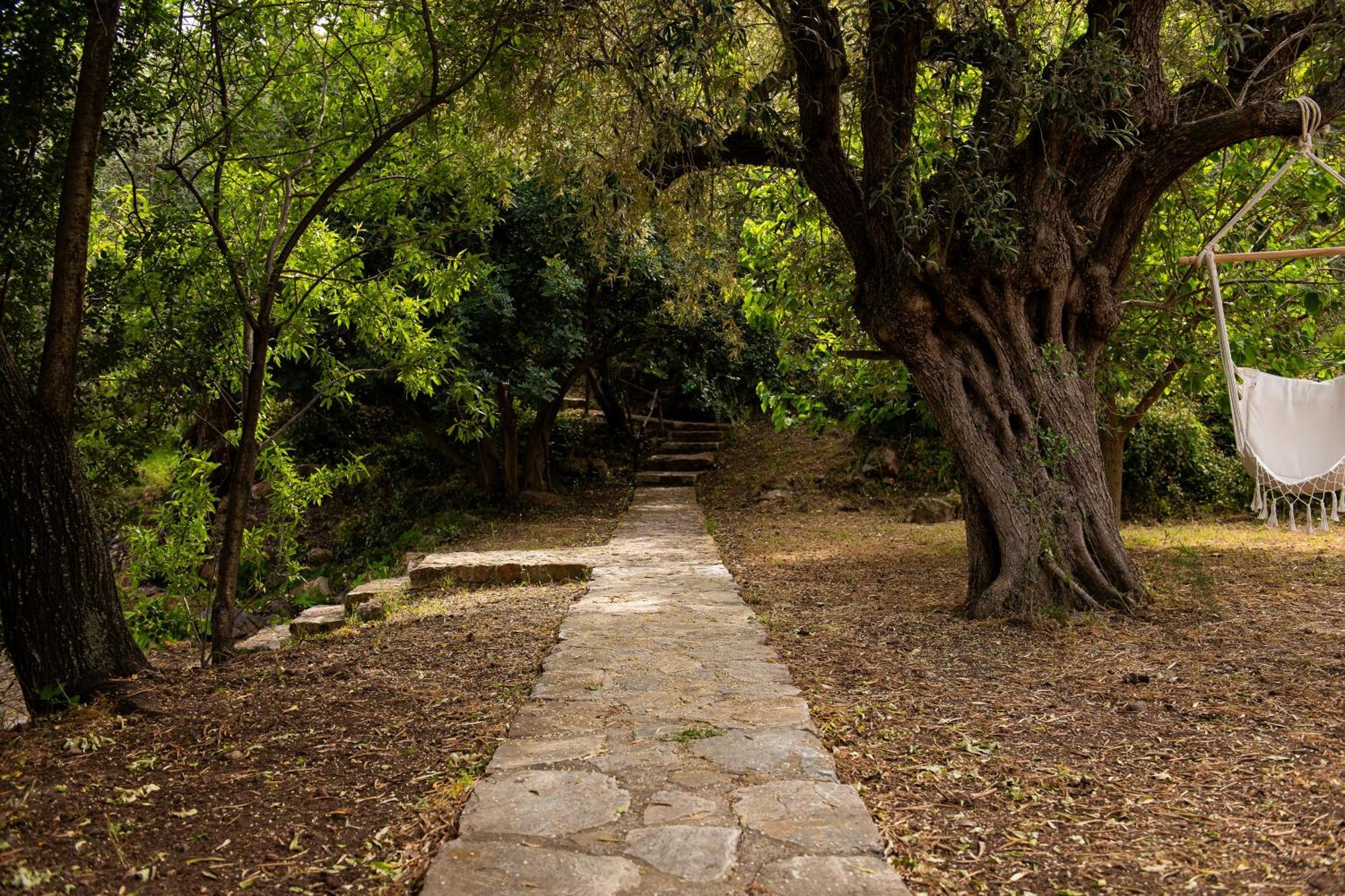 Lithea Villas And Studios By The Sea Agios Petros  Exterior photo