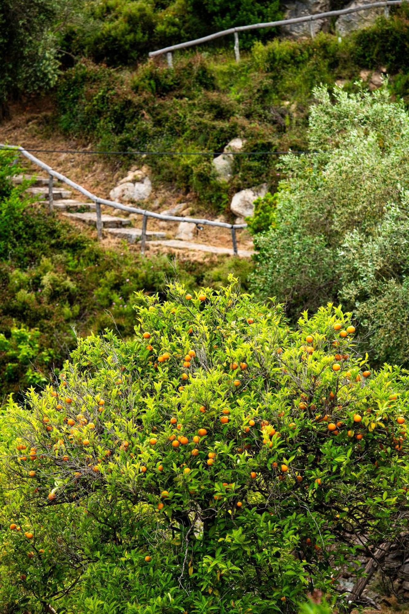 Lithea Villas And Studios By The Sea Agios Petros  Exterior photo