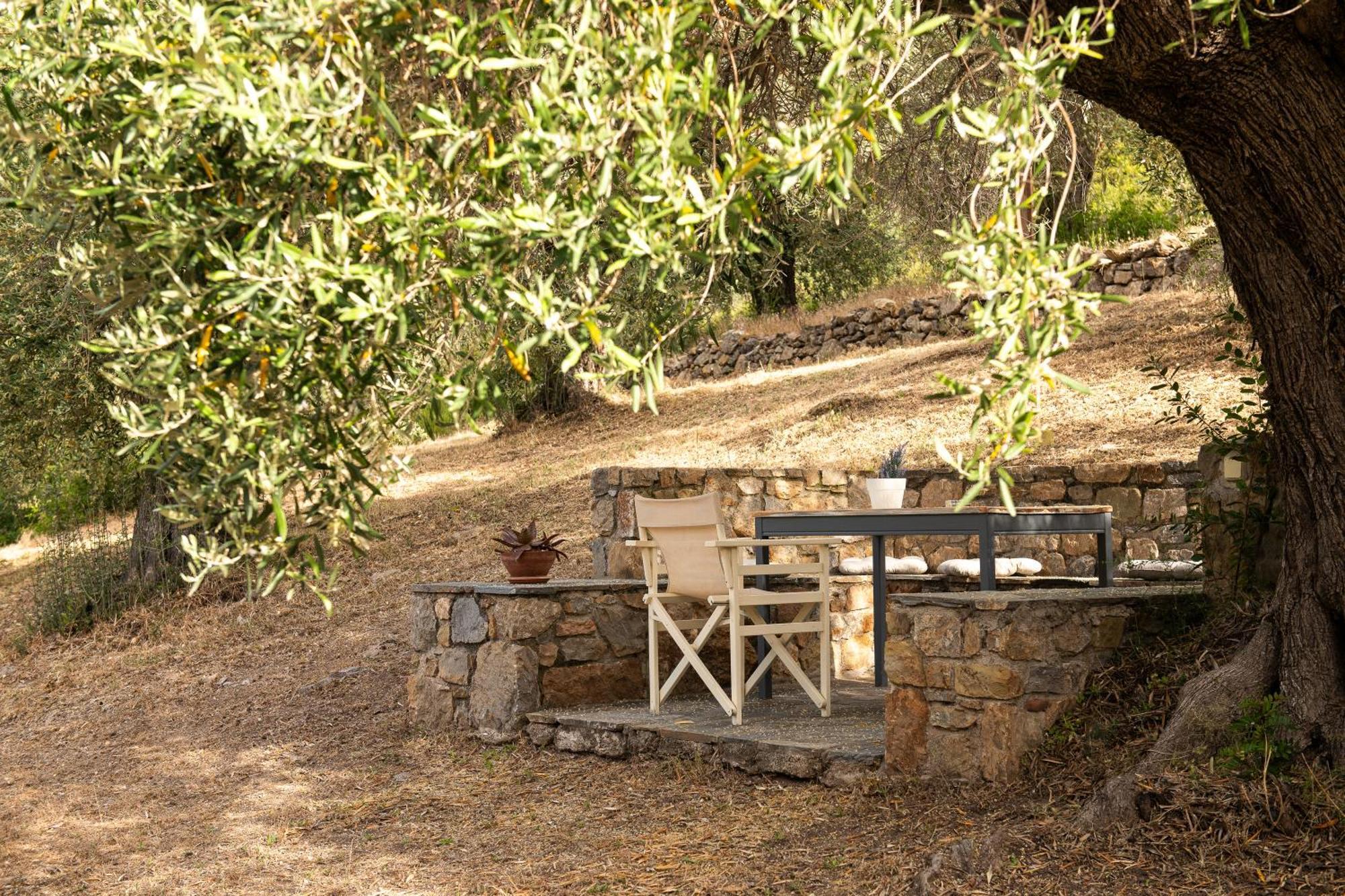 Lithea Villas And Studios By The Sea Agios Petros  Exterior photo