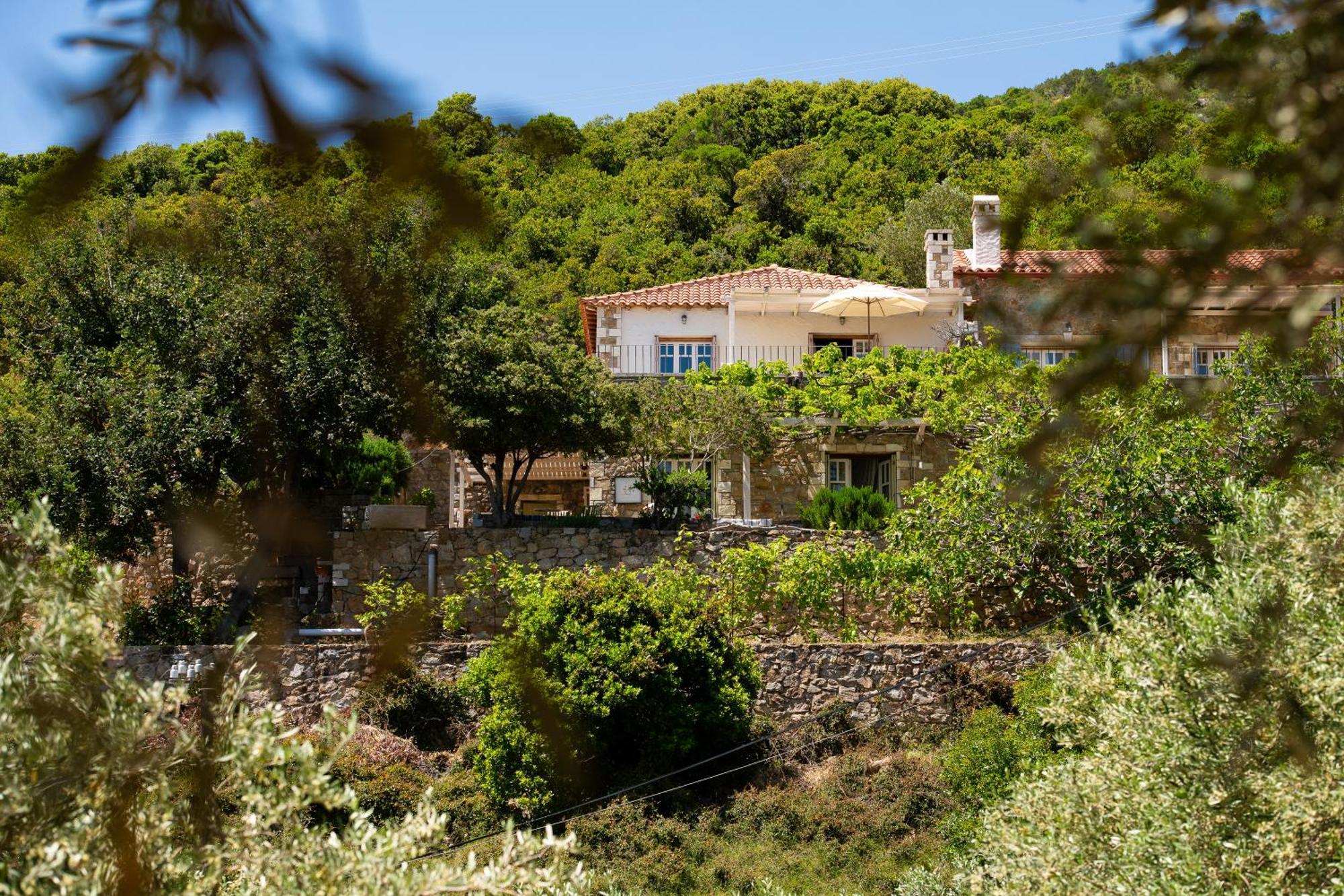Lithea Villas And Studios By The Sea Agios Petros  Exterior photo